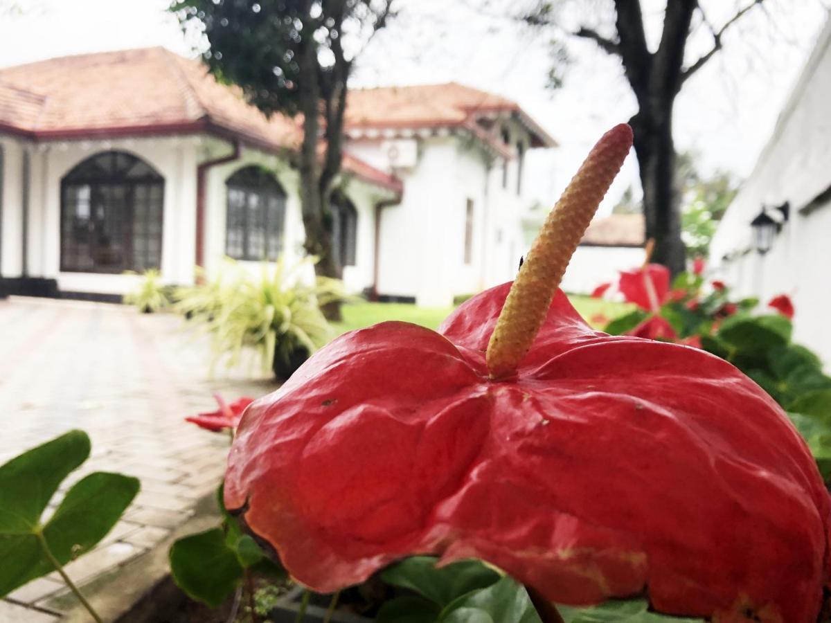 Grand Villa Negombo Luaran gambar